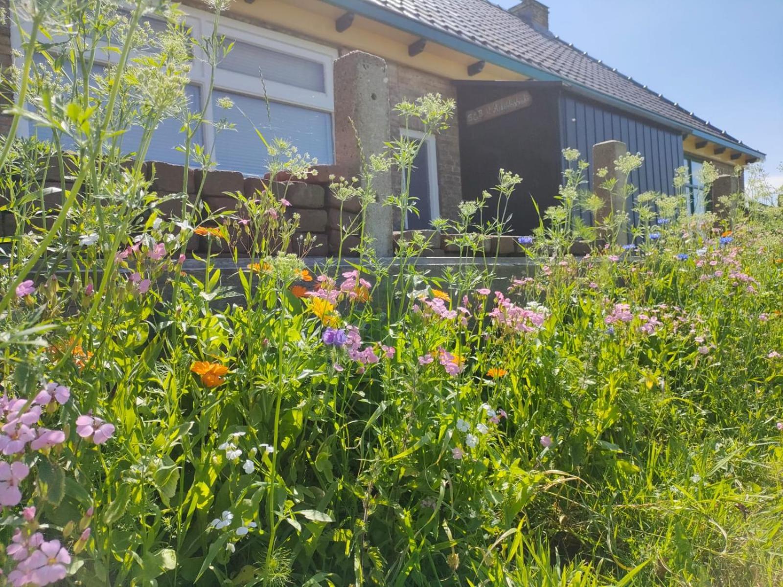 B&B It Arbeidershuske Ferwoude Buitenkant foto
