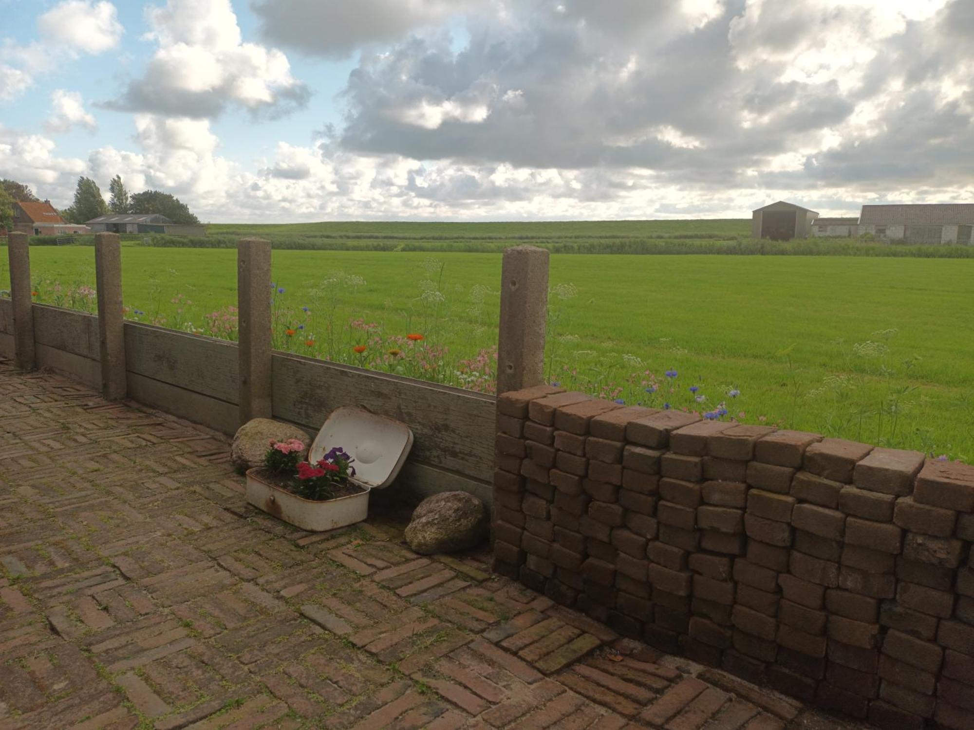 B&B It Arbeidershuske Ferwoude Buitenkant foto