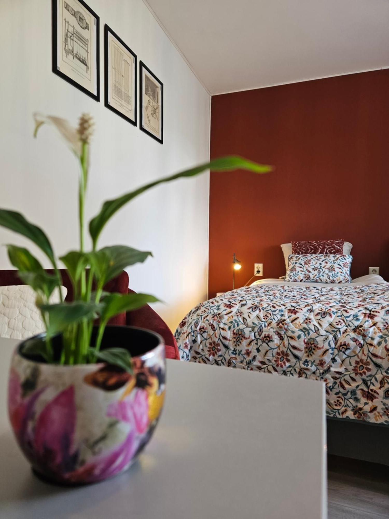 B&B It Arbeidershuske Ferwoude Buitenkant foto